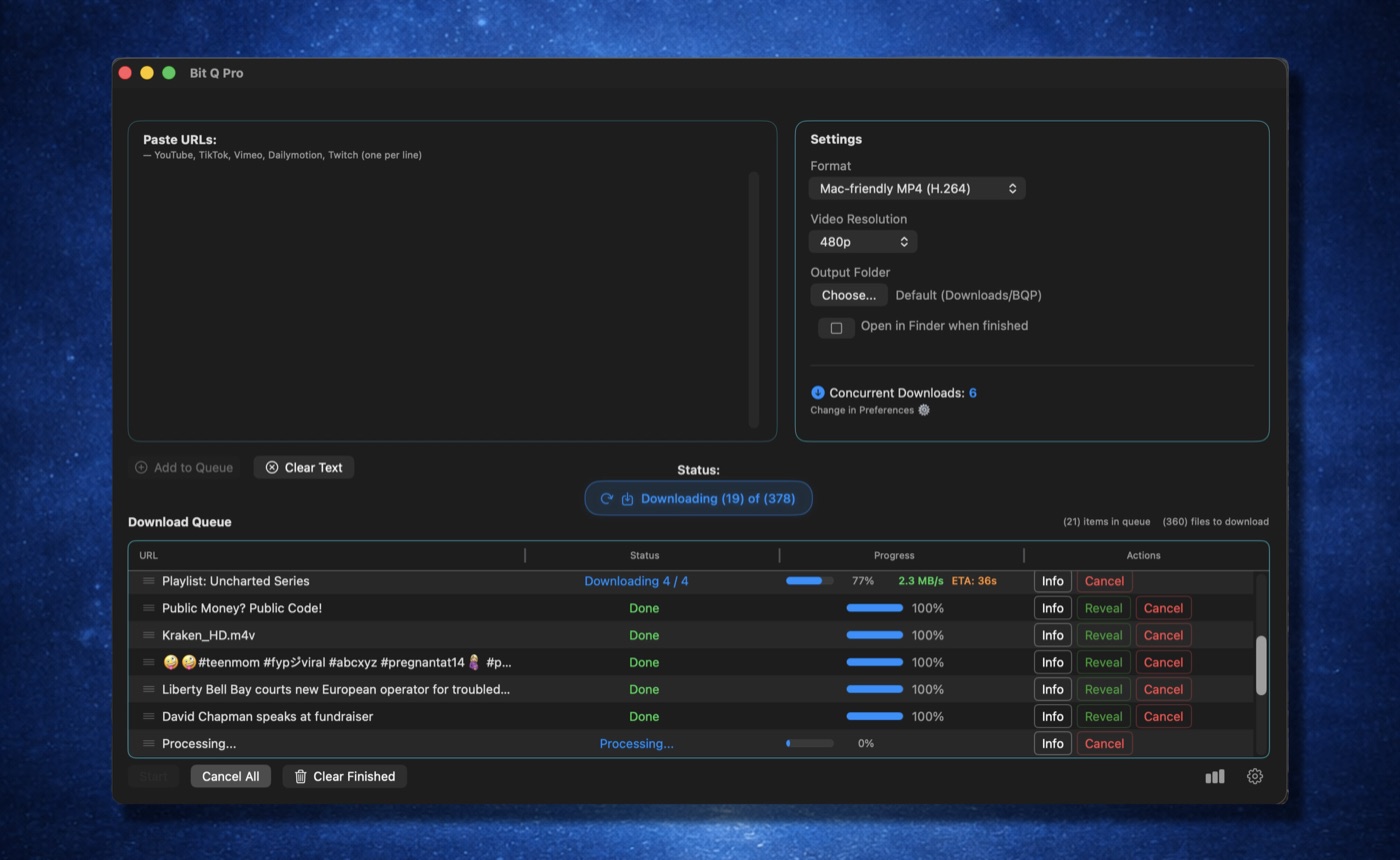 Bit Q Pro downloading a playlist with live progress bars and speed
