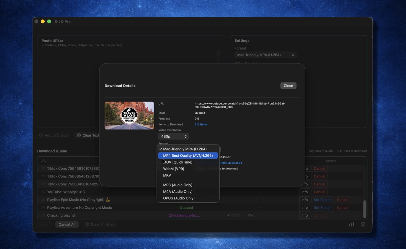 Bit Q Pro download details with format menu for MP4, MOV, WebM, and audio