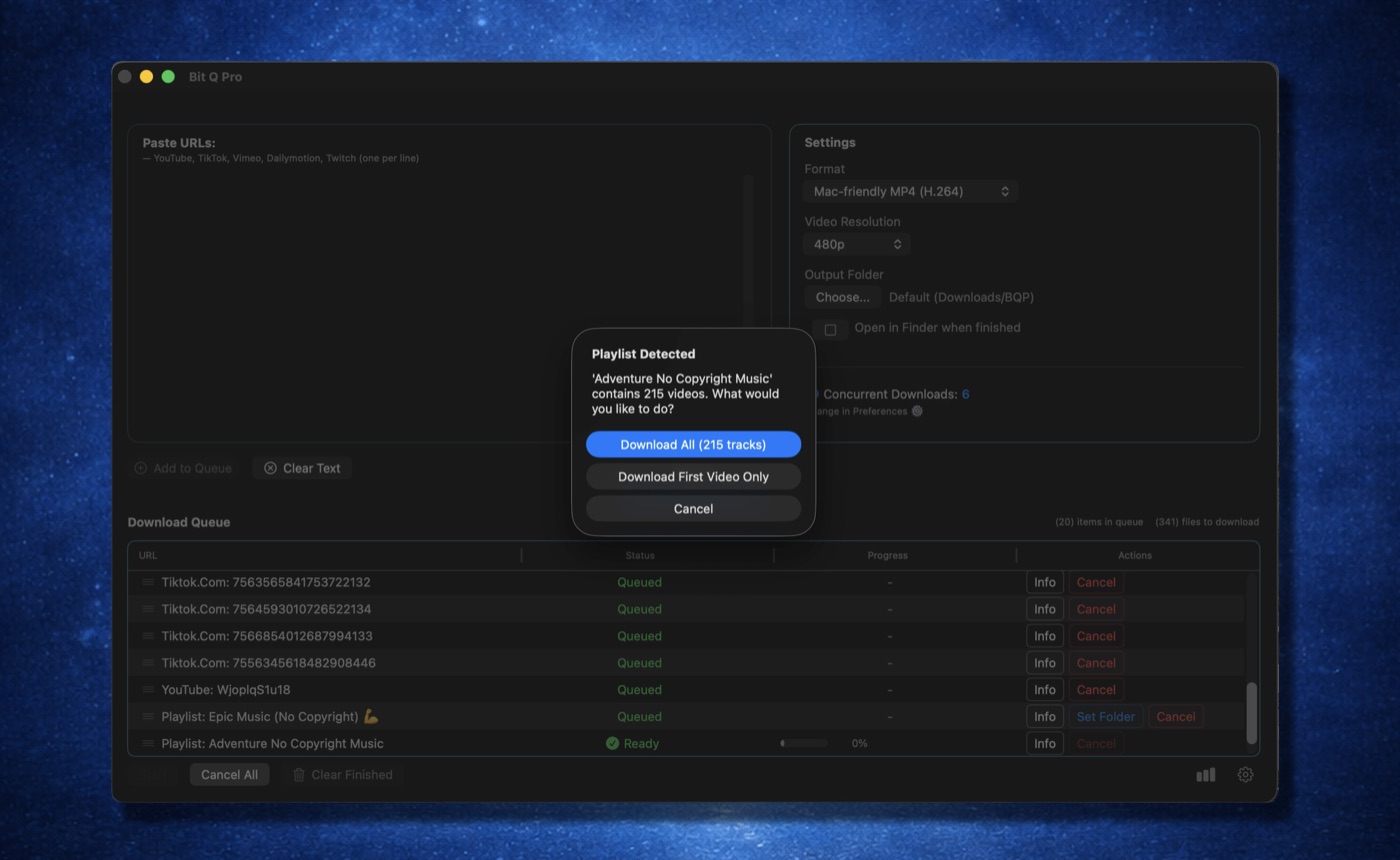 Bit Q Pro playlist dialog offering download all 215 tracks or first video only